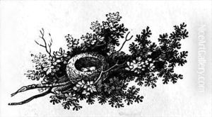 Bird's Nest, from the 'History of British Birds' Volume I by Thomas Falcon Bewick