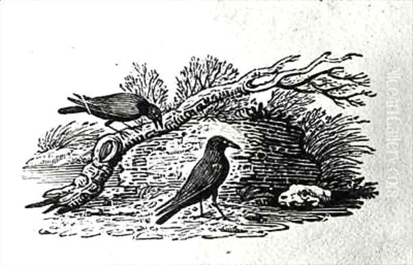 Crows (Corvus corone corone) from the 'History of British Birds' Volume I - view 1