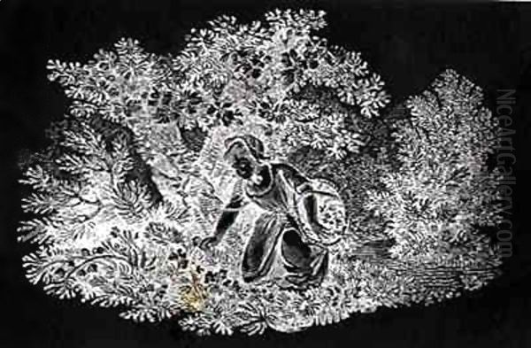 A Girl Gathering Flowers from 'History of British Birds and Quadrupeds' - view 1