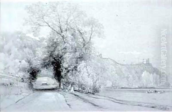 Road bordering meadows and a castle - view 1