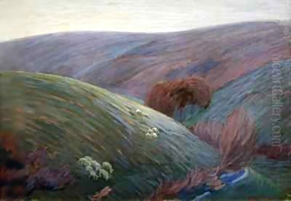 Early morning on Exmoor - view 1