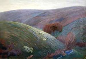 Early morning on Exmoor