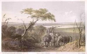 Herd of Elephants on the border of Chad Herd of Elephants on the border of Chad