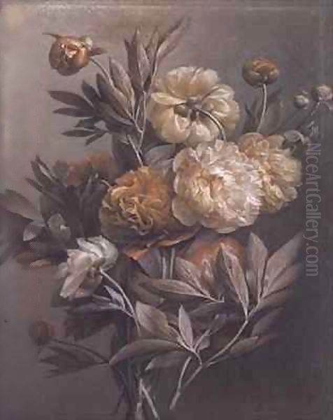 Peonies - view 1