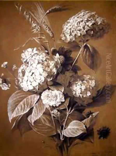 Hortensias - view 1