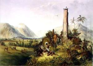 Pure-Piapa, a remarkable basaltic stone in Guiana