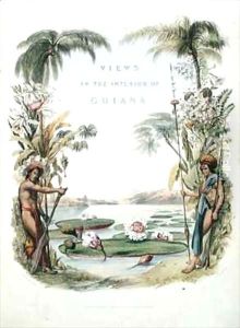 Frontispiece to 'Views in the Interior of Guiana' by Charles Bentley