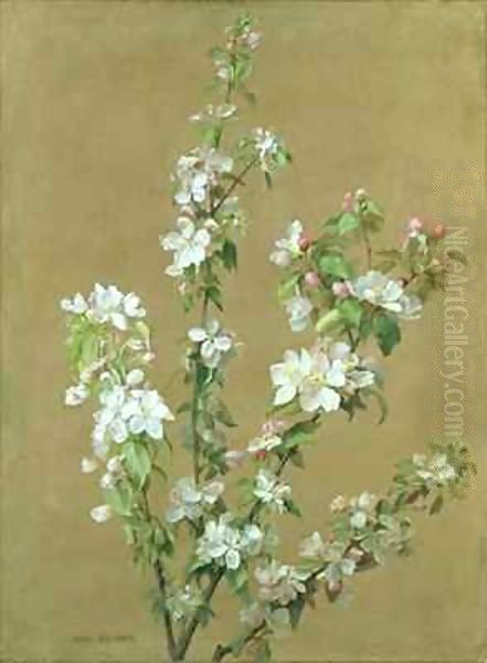 Apple Blossom - view 1