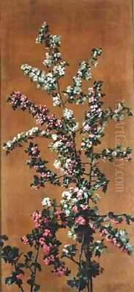 Japanese Cherry Tree and Hawthorn Branches 2 - view 1
