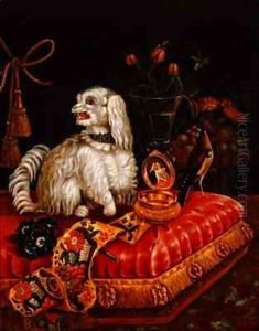 Poodle on a Cushion