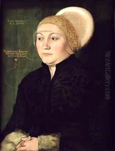 Portrait of Magdalena Neudorffer (1487-c.1544) by Barthel Beham
