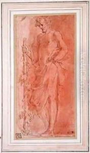 Bacchus by Girolamo Mazzola Bedoli