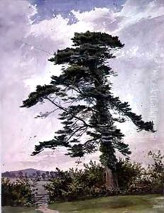 Landscape, with a Scotch Pine by George Bedford