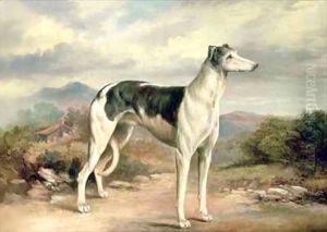 A Greyhound in a hilly landscape
