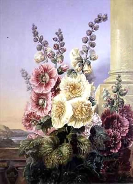 Hollyhocks - view 1