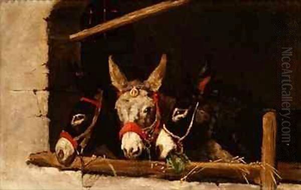 Donkeys Feeding - view 1