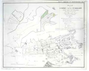 Plan of Sydney with Pyrmont, New South Wales, the latter the Property of Edward Macarthure Esquire Divided into Allotments for Building Plan of Sydney with Pyrmont, New South Wales, the latter the Property of Edward Macarthure Esquire Divided into Allotments for Building