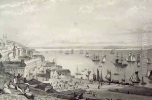 View of Cobh Harbour, looking towards Rostellan, County Cork