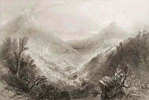 Glen of the Downs, County Wicklow, Ireland by William Henry Bartlett