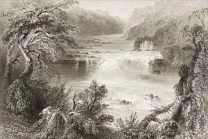 Salmon Leap at Leixlip, County Kildare