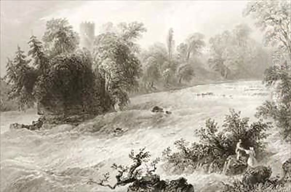 Castleconnell and Doonass Rapids, County Limerick, Ireland - view 1