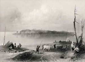 Navy Island, Niagara River, Ontario, Canada by William Henry Bartlett