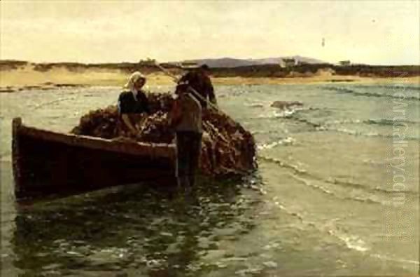 Unloading Kelp Weed - view 1