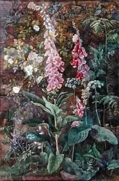 Digitalis Purpura and Rosa Rugosa - view 1