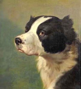 Head of a Sporting Dog