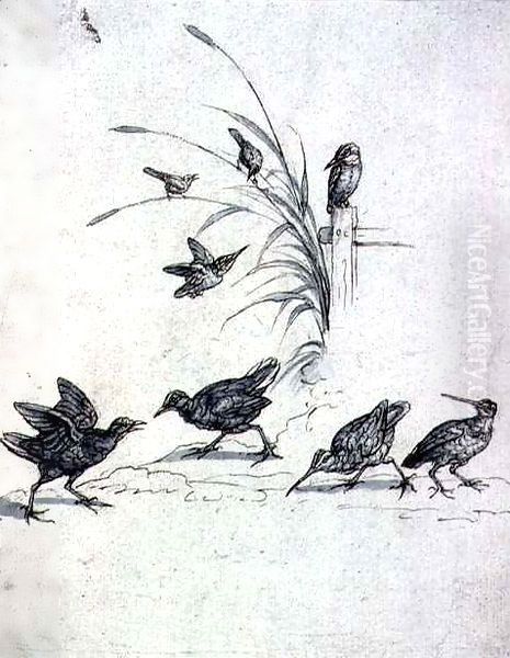 Kingfishers, Curlew and other Birds - view 1