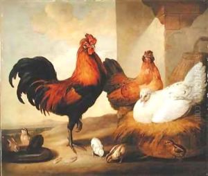 Domestic Cock, Hens and Chicks by Francis Barlow