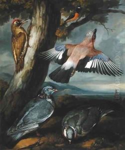 Jay, Green Woodpecker, Pigeons and Redstart by Francis Barlow