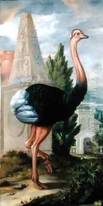 An Ostrich 2