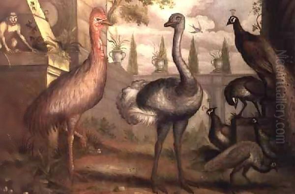 Collection of Birds - view 1