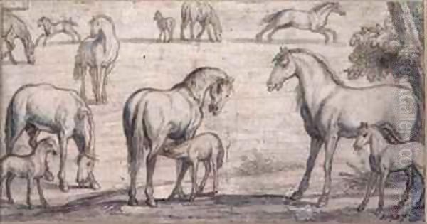 Mares and Foals - view 1
