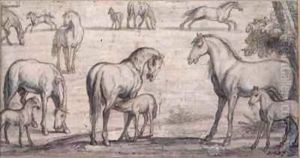 Mares and Foals by Francis Barlow