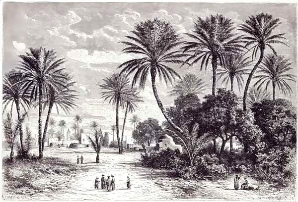 Oasis of Gafsa Tunis - view 1