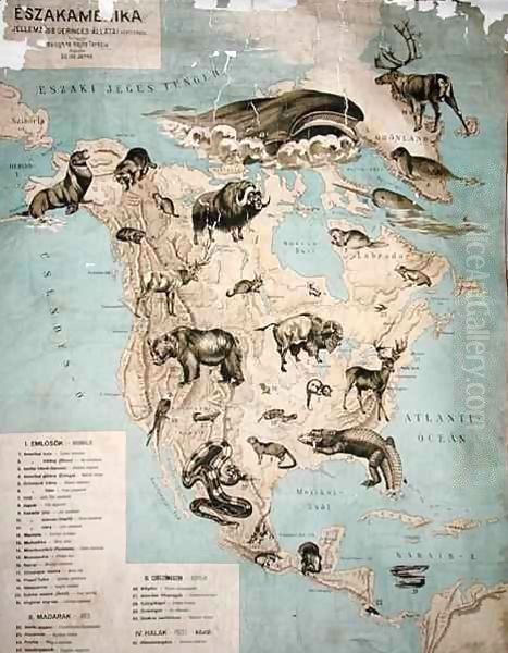 Map of animals in North America - view 1