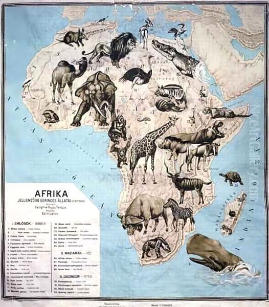 Map of animals in Africa - view 1