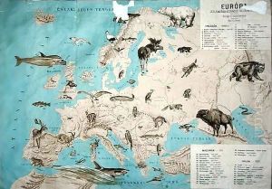 Map of animals in Europe by Janos Balint
