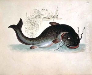 Catfish by Leonhard Baldner
