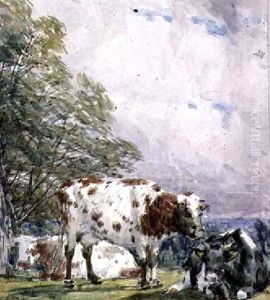A Study of Cattle