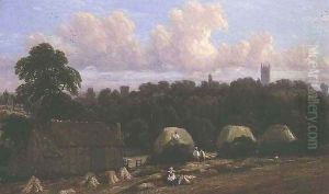 Harvest Scene
