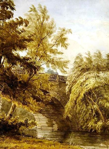 Landscape - view 1