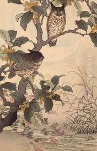 Two owls in a tree from Bunrei Kacho Gafu by Kono Bairei by Kono Bairei