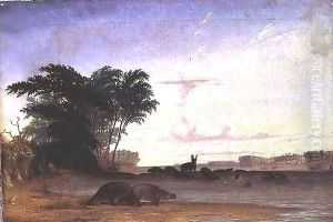 A Herd of Hippopotami near the mouth of the Luala River
