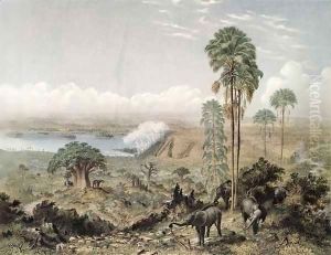 Victoria Falls of the Zambezi River