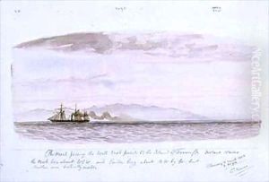 The Pearl passing the northeast point of Tenerife by Thomas Baines