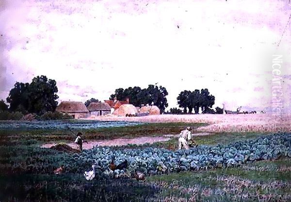 Cabbage Field and Farm - view 1
