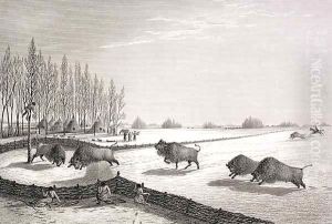 A Buffalo Pound by Sir George Back